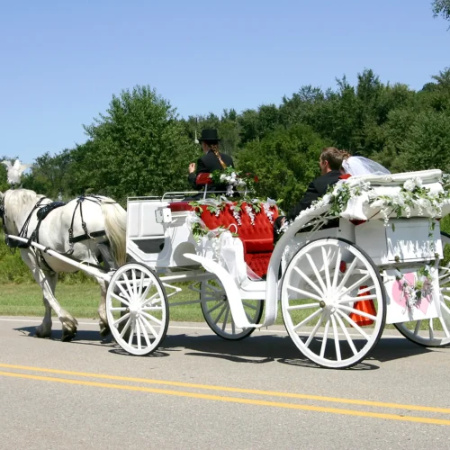Hochzeitskutsche für Hochzeiten im Chalet O