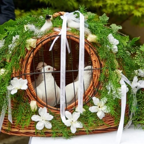 Taubenflug für Hochzeiten im Chalet O