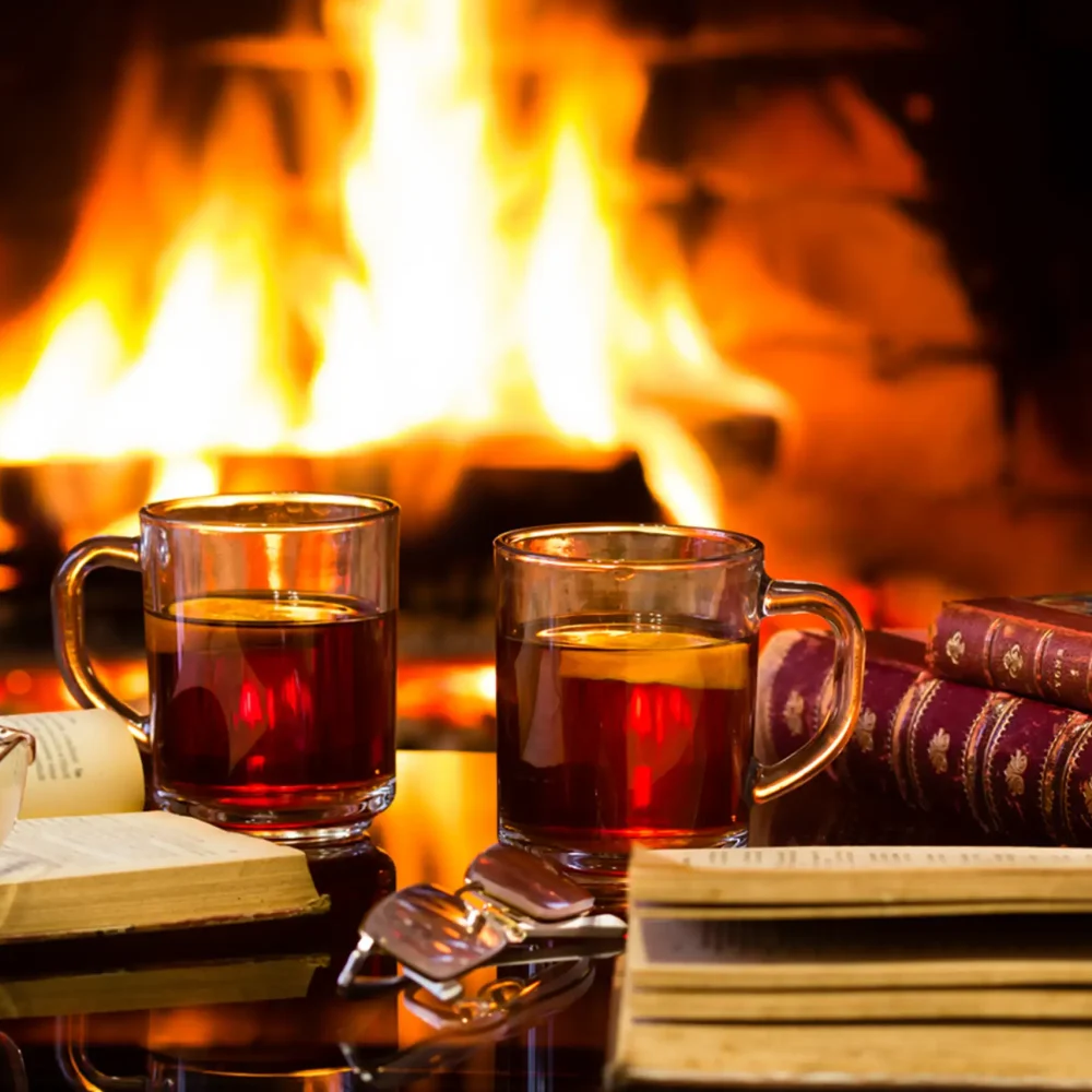 Buchclub mit Freunden im Chalet O